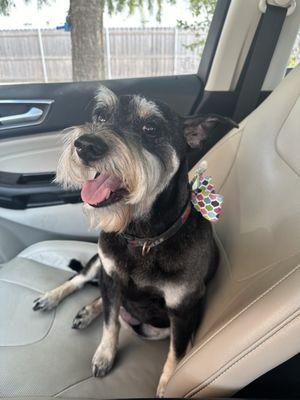 Fresh cut by Jasmine Walters @ Awesome Pawsome