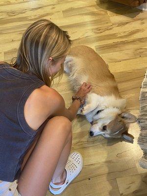 Penny the Corgi looooves some belly rubs