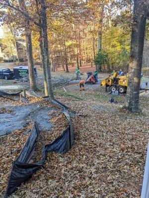 Mulching the branches on site. They raked, swept and cleaned the road before leaving.