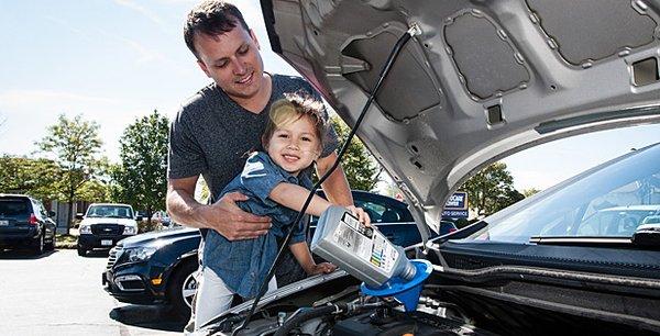 NAPA Auto Parts - Glenbrook Auto Parts Inc. has everything you need to change your engine oil.