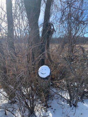 Views on the hike around Bay City State Recreation Area / Tobico Marsh