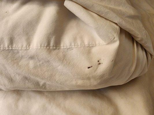 Stains on the pillow cases