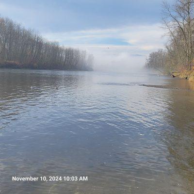 Fog on the river.