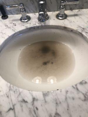 Clogged sink