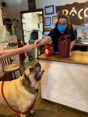 Local legend "Butter" the Mastiff is waiting for her treat from Barb and Paddy.