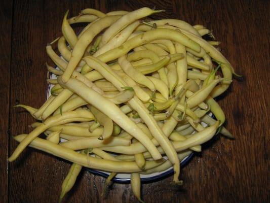 Srybny Farm wax beans