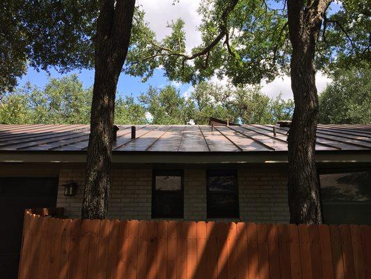 Removed fallen limb and raised canopy levels to prevent roof damage