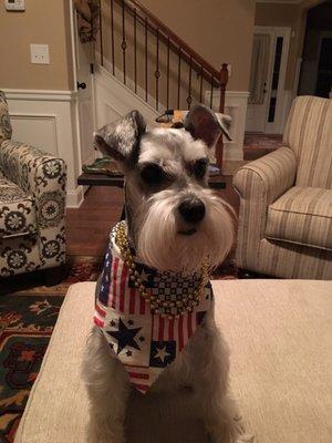 Mia is looking all festive and ready to party for the 4th! Thanks Gregory!!