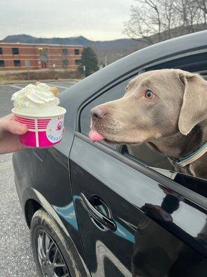 Pup Cup