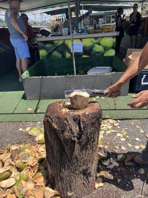 6/4/22 Fresh coconuts anyone?