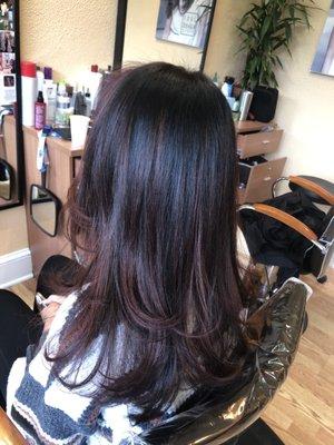 Chocolate brown Balayage