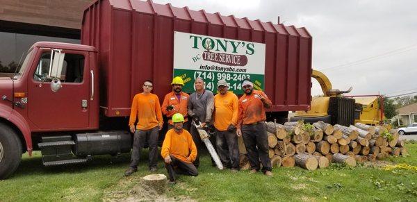 Tony's BC Tree Service