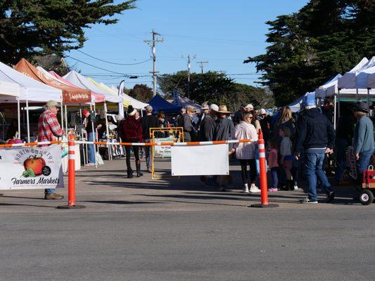 Baywood Market