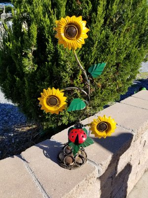 Sunflower w/ Lady Bug