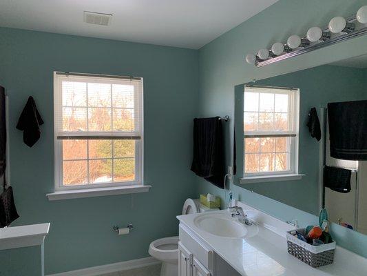 Beautiful bathroom fully painted! Walls: Mariner Sherwin Williams Color Color Number: SW 6766