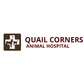 Quail Corners Animal Hospital