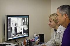 Veterinary Radiology