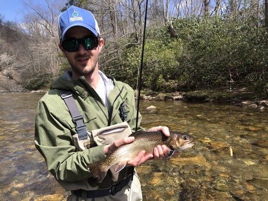 Brook Trout