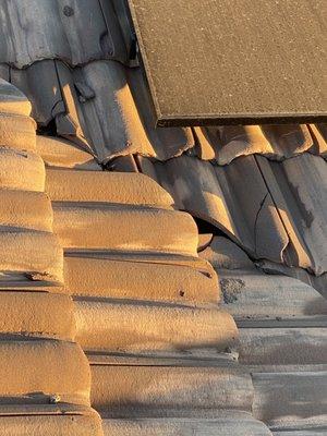 Destroyed roof tiles