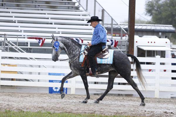 I also can shoot horse shows