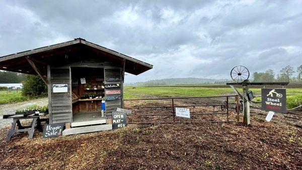 Farm stand