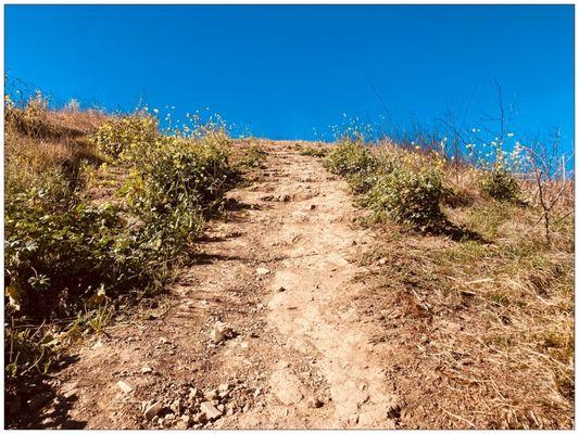 Grotto trail has many steep elevation. Your stamina will be tested. :D