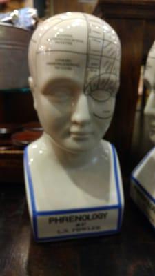 Phrenology bust