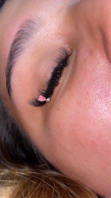 Lash by Kaily