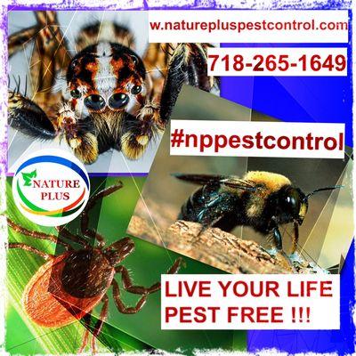 Nature Plus Pest Control