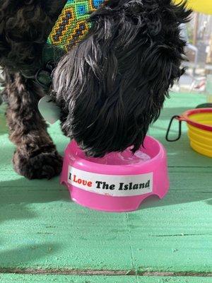 She's loves the island for sure.