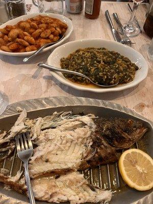 Branzino, spanakorizo, beans