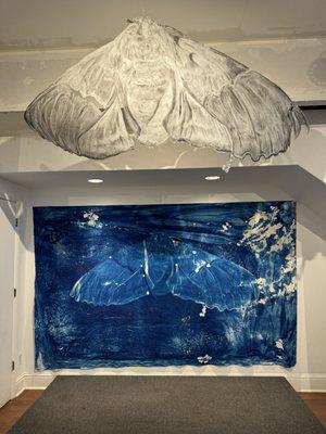 Cyanotype art installation