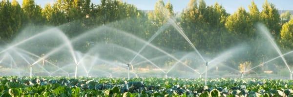 Irrigation, Installation, Sprinkler Systems, Service Process