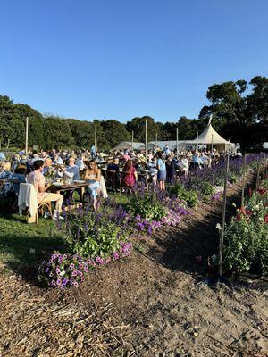 Chatham Bars Inn Farm