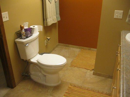 Bathroom addition to basement... toilet