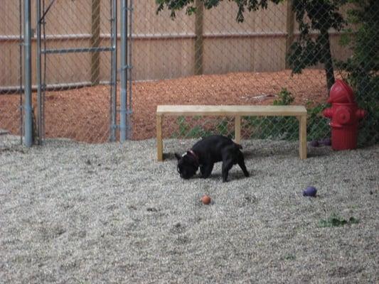 wyatt playing ball