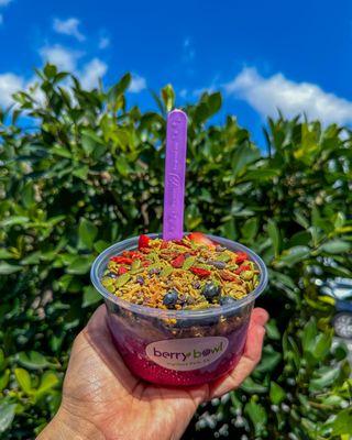 Ube & Pitaya Bowl