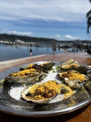 MarketFeller Oysters!