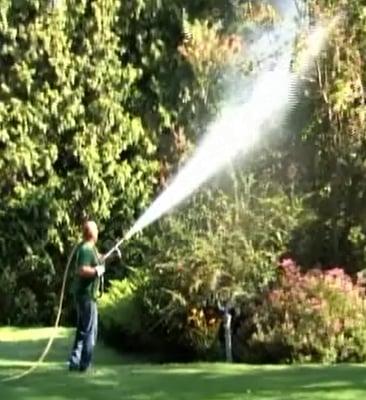 Insect Control - Tree Spraying