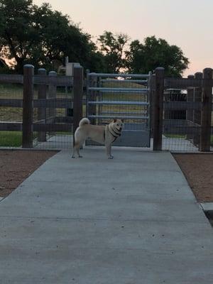 Bee Cave Dog Park