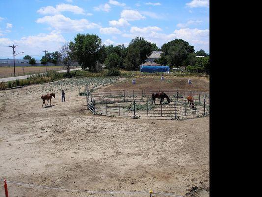 Outdoor arena and round pen.