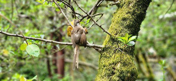 Woodland Park Zoo