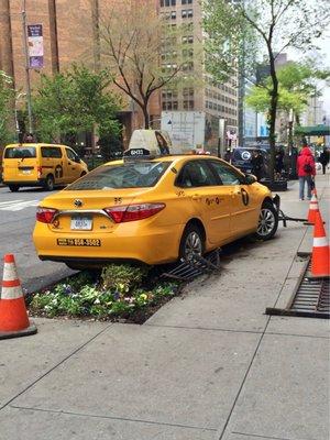 Oops My favorite Yellow Cab Photos posted  07/23/22