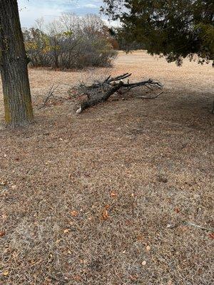 No job too big or small. We were called out to chip up this small pile of brush and gladly did the job.