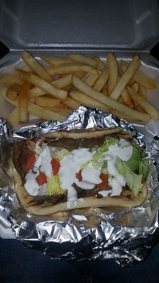 Donar kabob in naan with fries lunch special. This was a typical gyro nothing spectacular, so we're the fries.