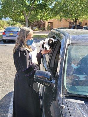 Blessing of the Animals