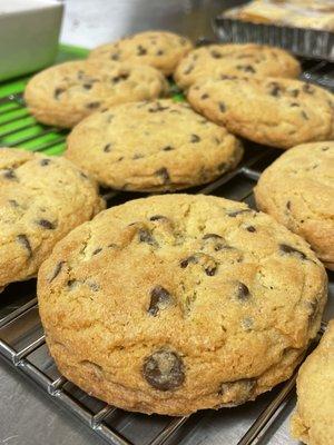 Chocolate Chip Cookies