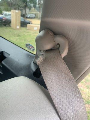 Frayed seatbelt damage