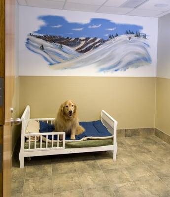 Red Dog Pet Resort & Spa