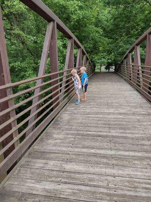 My favorite models (aka my grands) watching for the sticks they threw in on the other side to float by.